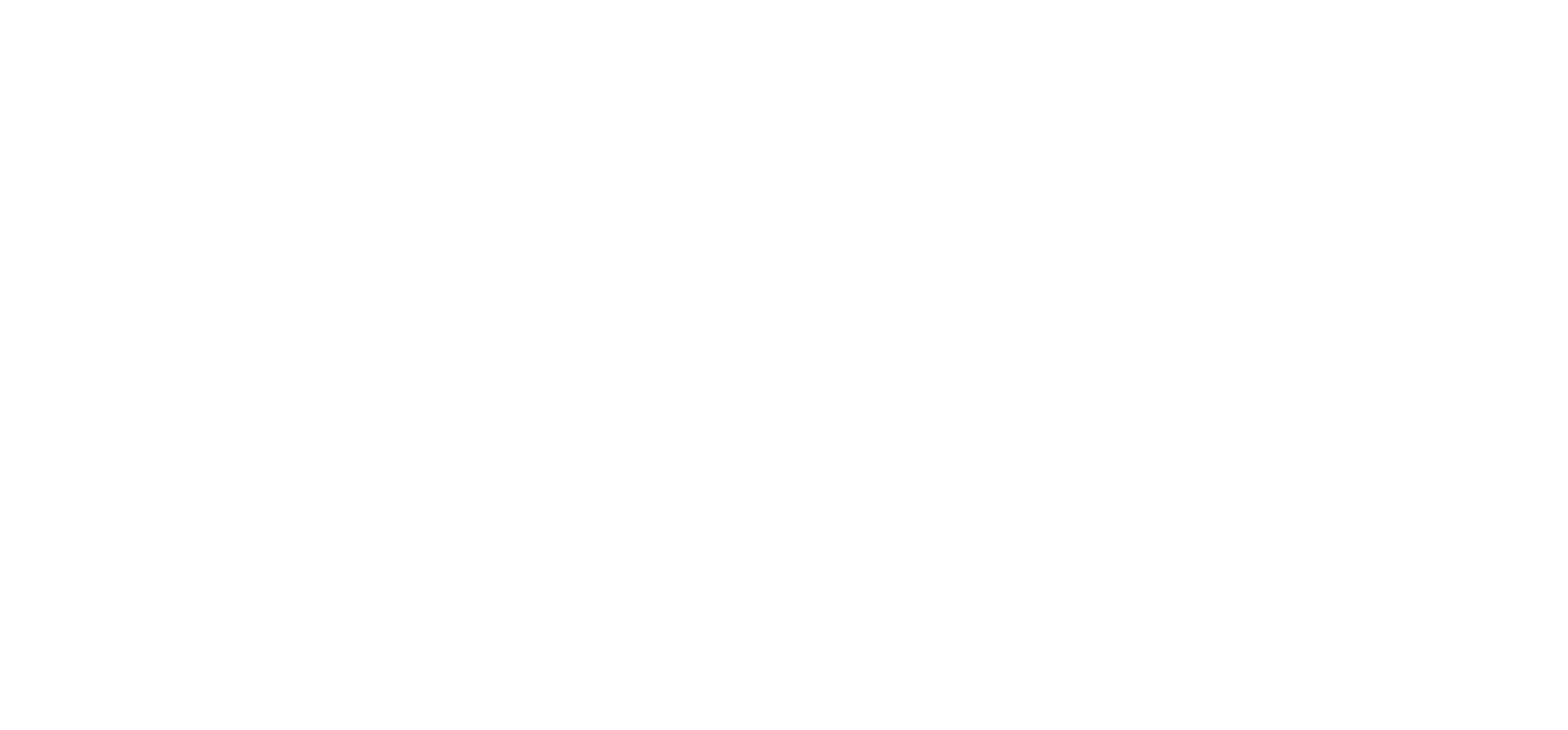 Dlonra Safety Consultancy Logo